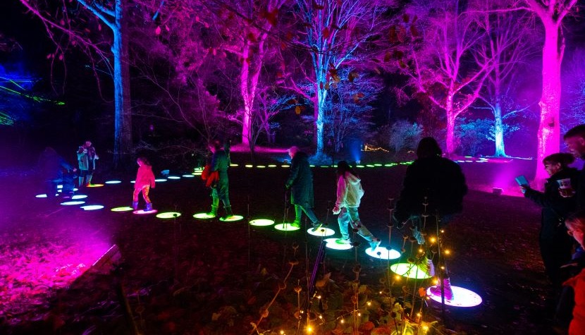Light Up Hilliers